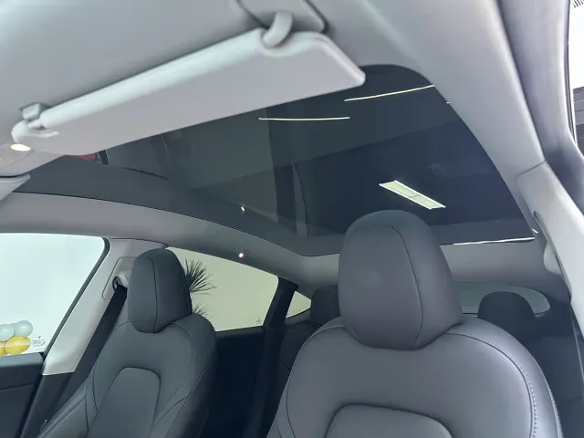 Tesla Model Y — Фото автомобиля 20