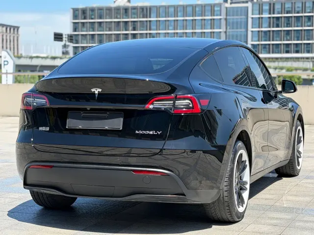 Tesla Model Y — Фото автомобиля 5