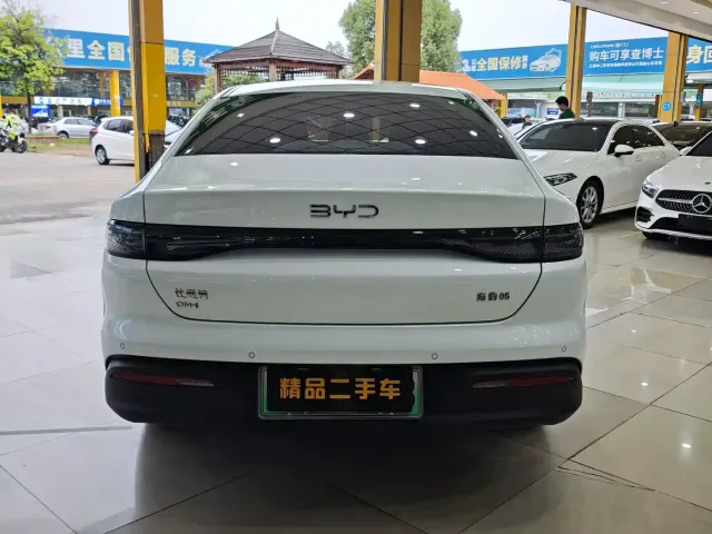 BYD Hai Bao 05 DM-i 2025 DM-i Smart Drive Edition 55KM Luxury — Фото автомобиля 6