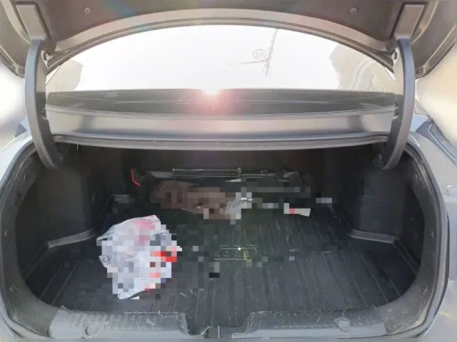 Changan Lamore — Фото автомобиля 9