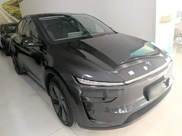 Tesla Model Y — Фото автомобиля 3