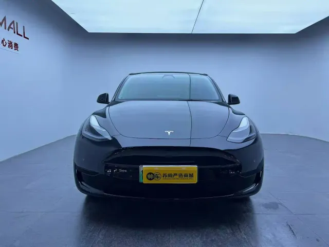 Tesla Model Y — Фото автомобиля 2
