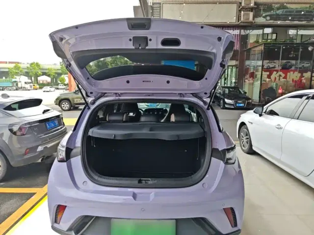 BYD Dolphin — Фото автомобиля 18