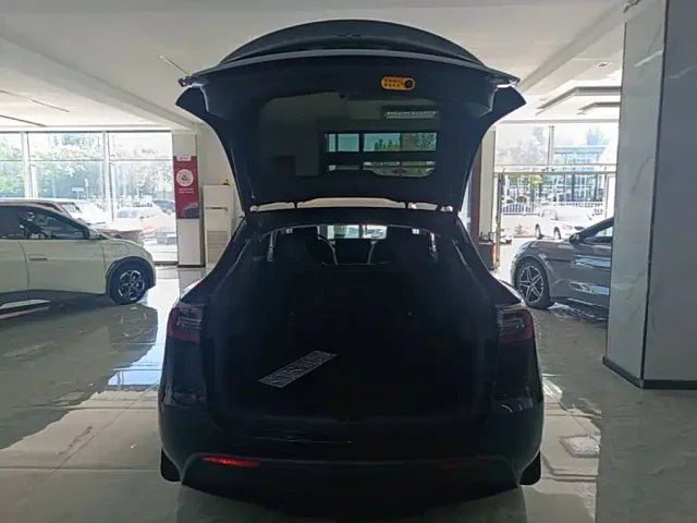 Tesla Model Y — Фото автомобиля 18