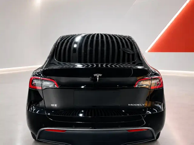 Tesla Model Y — Фото автомобиля 5
