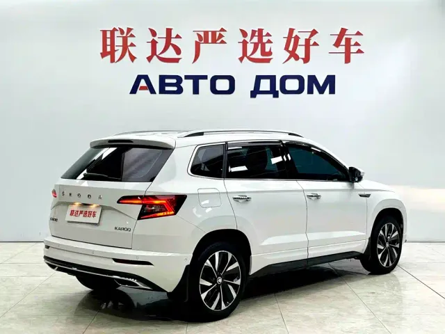 Skoda Karoq — Фото автомобиля 6
