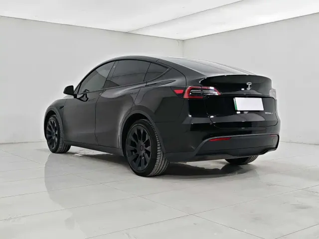 Tesla Model Y — Фото автомобиля 4
