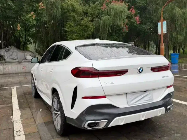 BMW X6 — Фото автомобиля 9