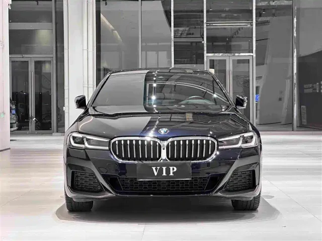 BMW 5 Series — Фото автомобиля 2