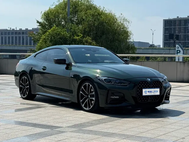 BMW 4 Series — Фото автомобиля 19