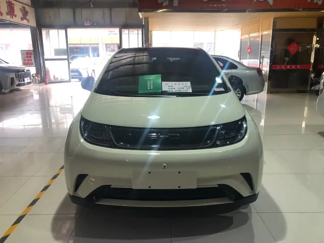 BYD Dolphin 2021 Model 405km Fashion Edition — Фото автомобиля 14