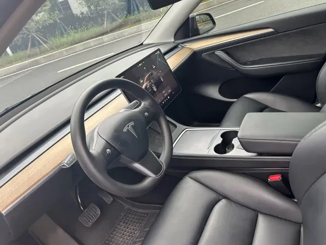 Tesla Model Y — Фото автомобиля 3