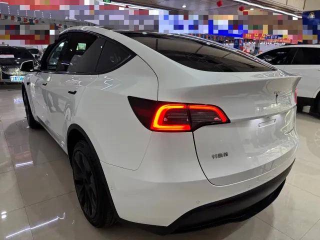 Tesla Model Y — Фото автомобиля 7