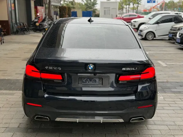 BMW 5 Series — Фото автомобиля 8