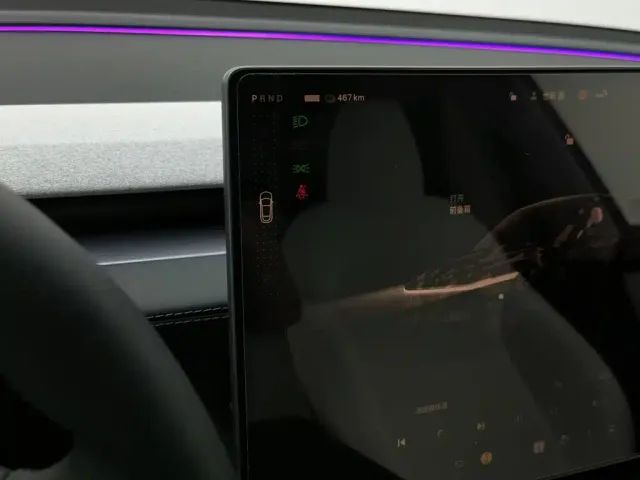 Tesla Model Y — Фото автомобиля 13