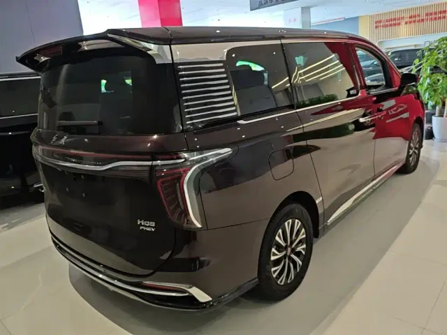 Hongqi HQ9 PHEV — Фото автомобиля 6