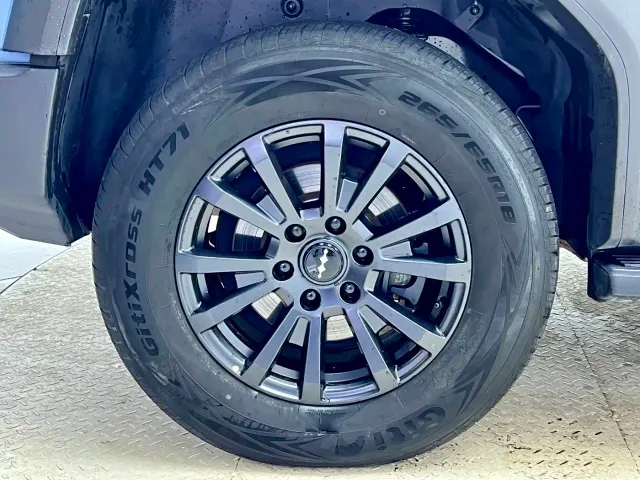 BYD FangChengBao Leopard 5 — Фото автомобиля 15