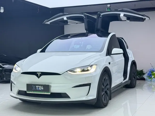 Фотография автомобиля — Tesla Model X