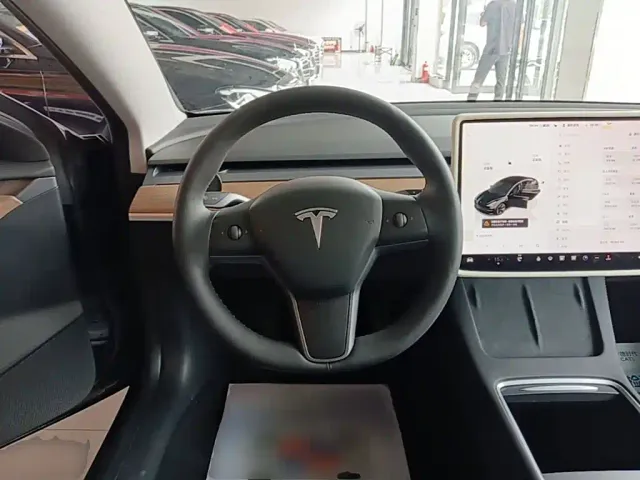 Tesla Model 3 — Фото автомобиля 10
