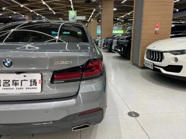 BMW 5 Series — Фото автомобиля 10