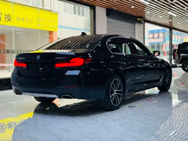 BMW 5 Series — Фото автомобиля 15