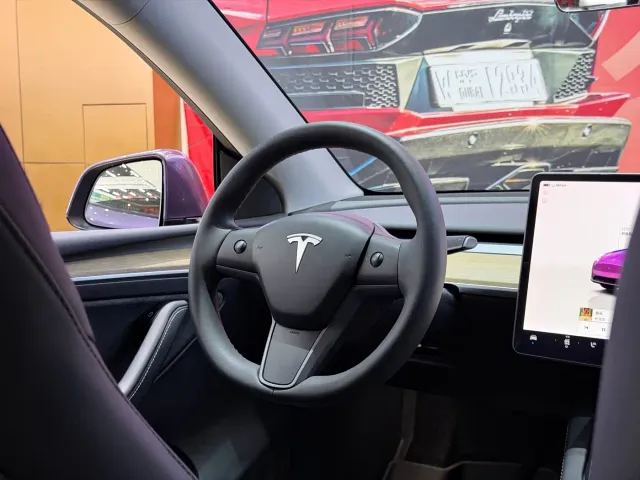 Tesla Model Y — Фото автомобиля 11