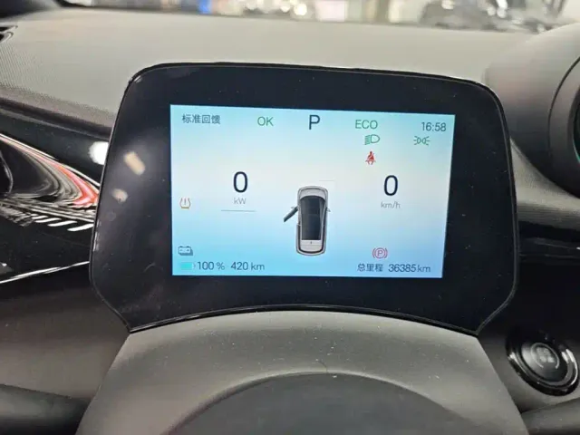 BYD Dolphin 2024 Glory Edition 420km Fashion Edition — Фото автомобиля 11