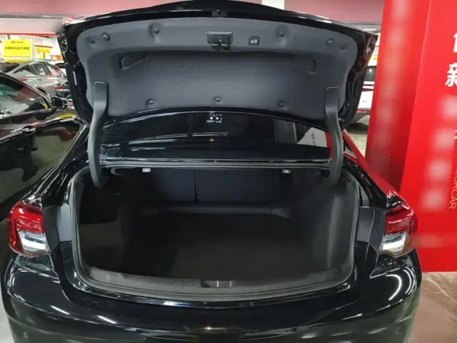 Buick Regal — Фото автомобиля 18