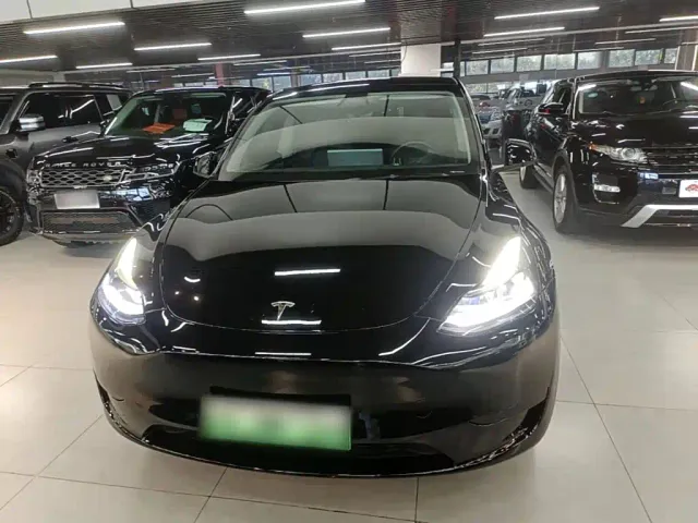 Tesla Model Y — Фото автомобиля 2