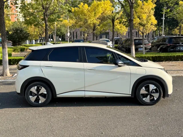 BYD Dolphin — Фото автомобиля 8