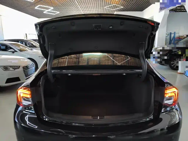 Buick Regal — Фото автомобиля 18