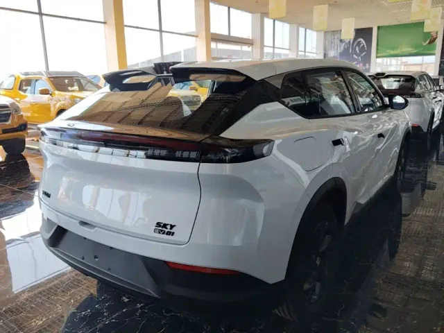 Dongfeng SKY EV01 — Фото автомобиля 6
