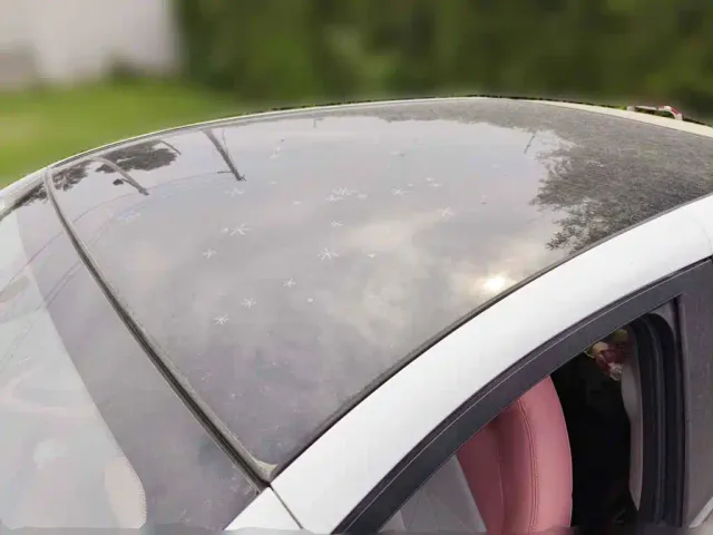 QQ New Energy Little Ant 2022 Sweet Pink Edition Half Sugar Version LFP Lithium 30kW 301km — Фото автомобиля 6