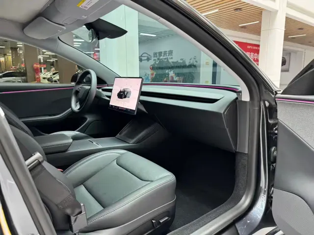 Tesla Model 3 2025 Model Rear-Wheel Drive Edition — Фото автомобиля 13