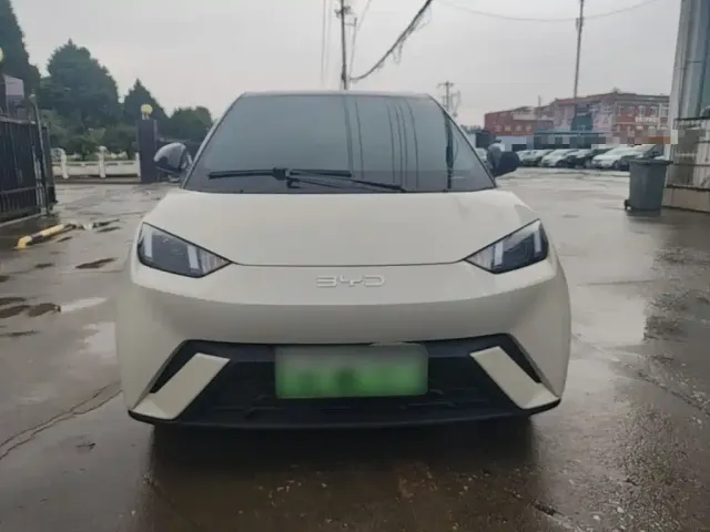 BYD Seagull 2024 Glory Edition 305km Vitality Edition — Фото автомобиля 2