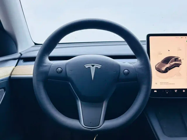 Tesla Model Y — Фото автомобиля 10