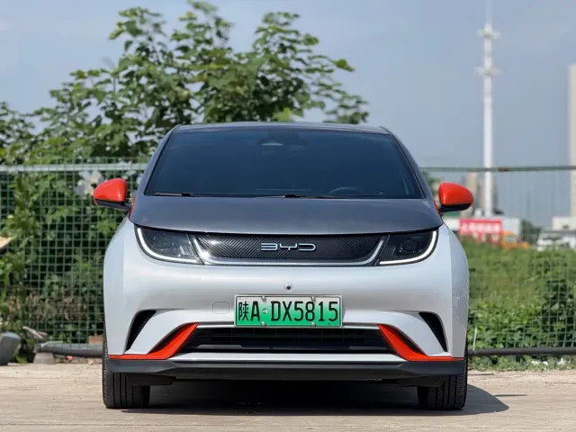BYD Dolphin — Фото автомобиля 2