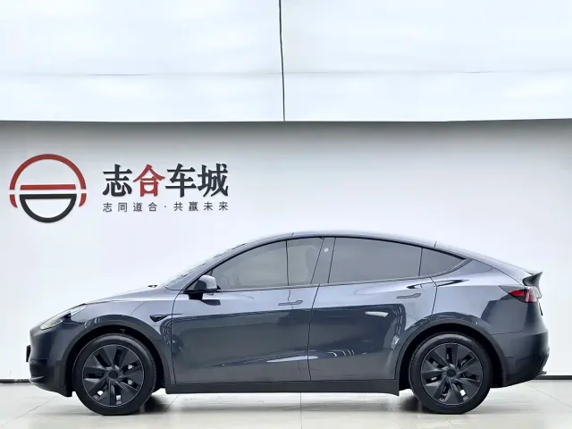 Tesla Model Y — Фото автомобиля 9