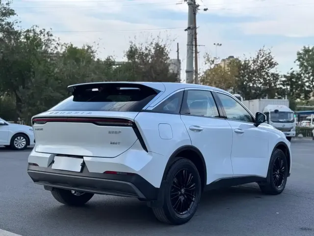 Venucia Venucia Big V 2022 260T Dark Horse Edition·Idol — Фото автомобиля 13