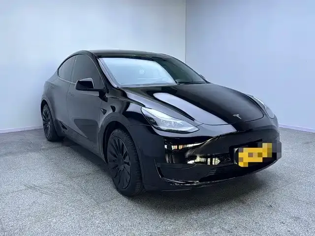 Tesla Model Y — Фото автомобиля 3