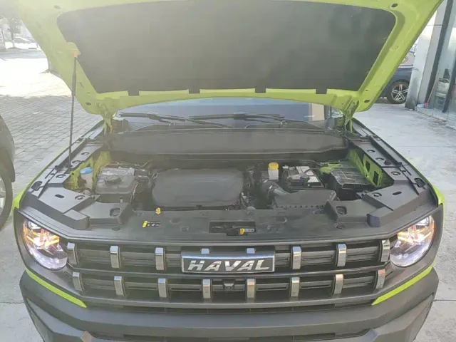 Haval Cool Dog — Фото автомобиля 19
