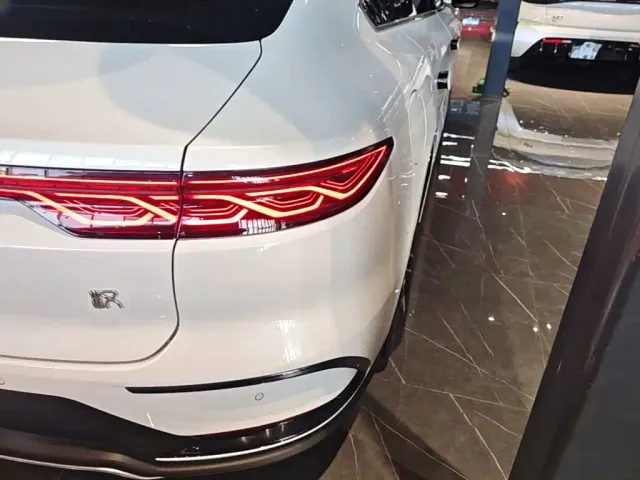 BYD Han — Фото автомобиля 7
