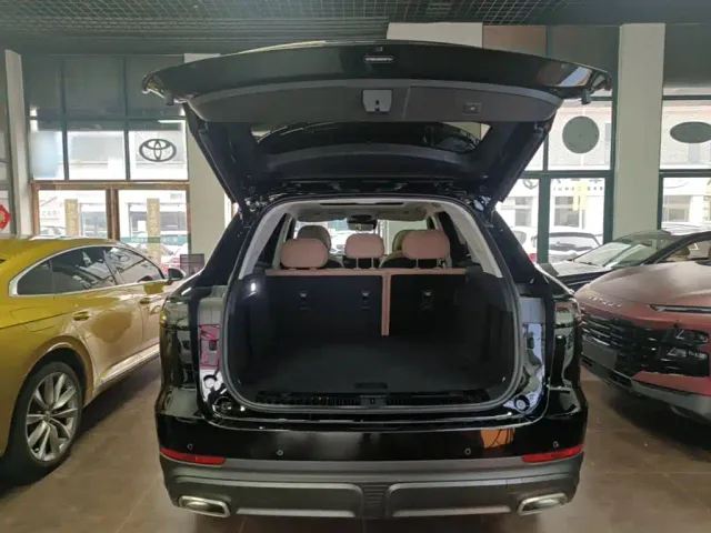 Chery Tiggo 8L — Фото автомобиля 18