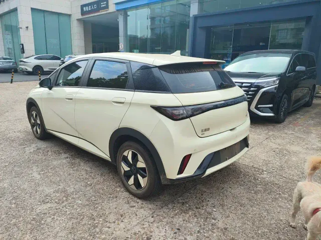 BYD Dolphin — Фото автомобиля 17