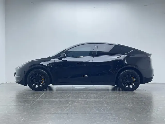 Tesla Model Y — Фото автомобиля 6