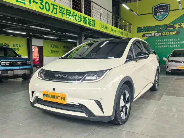Фотография автомобиля — BYD Dolphin