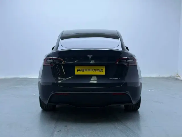 Tesla Model Y — Фото автомобиля 5