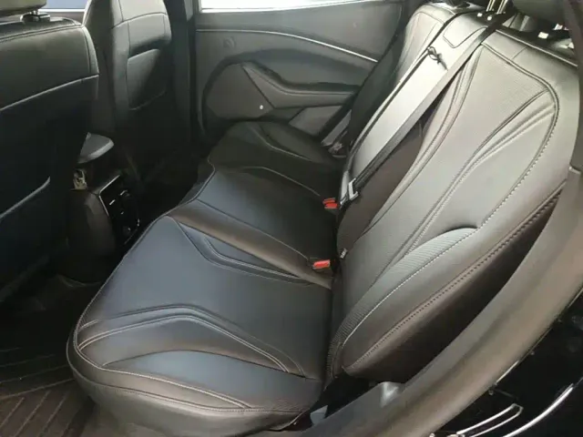 Ford Mustang Mach-E — Фото автомобиля 16