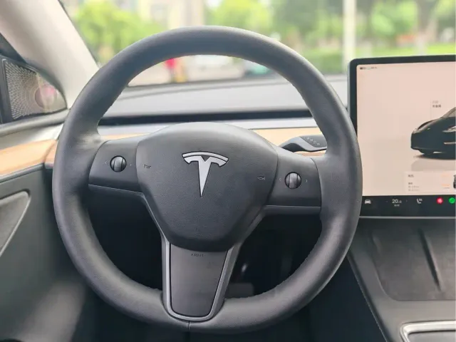 Tesla Model Y — Фото автомобиля 9
