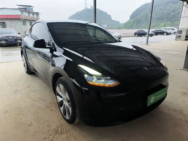 Tesla Model Y — Фото автомобиля 3